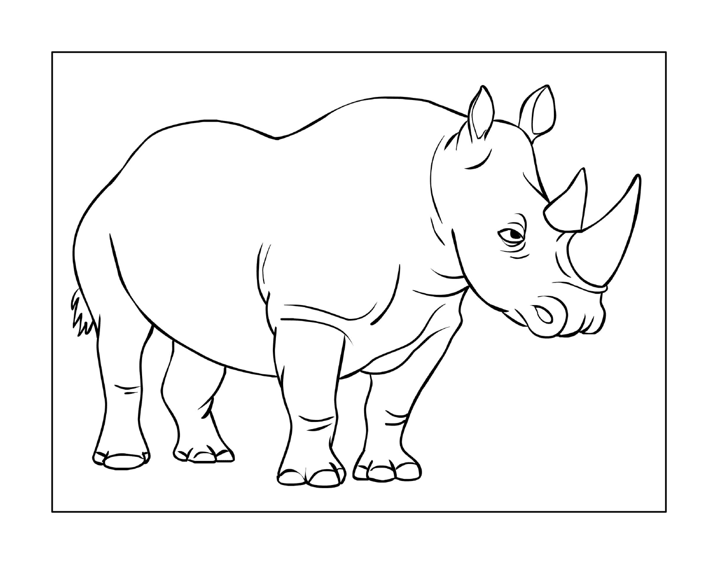  A rhinoceros 
