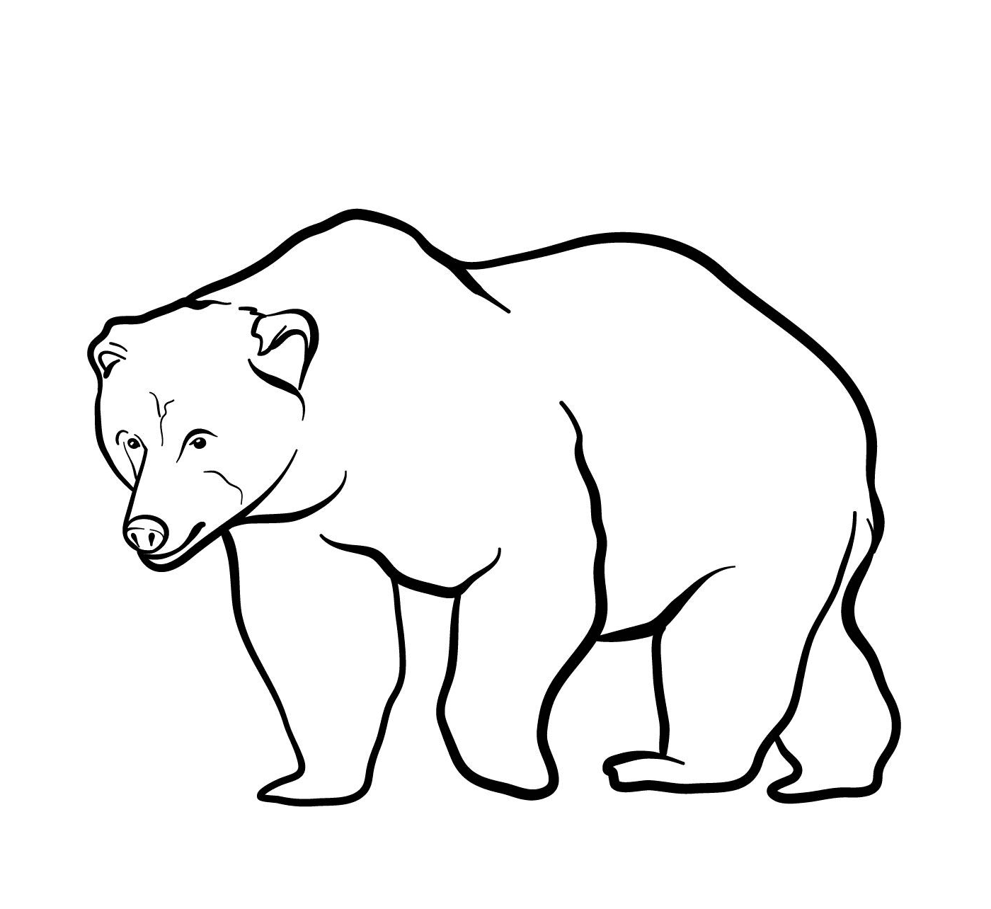  A brown bear 