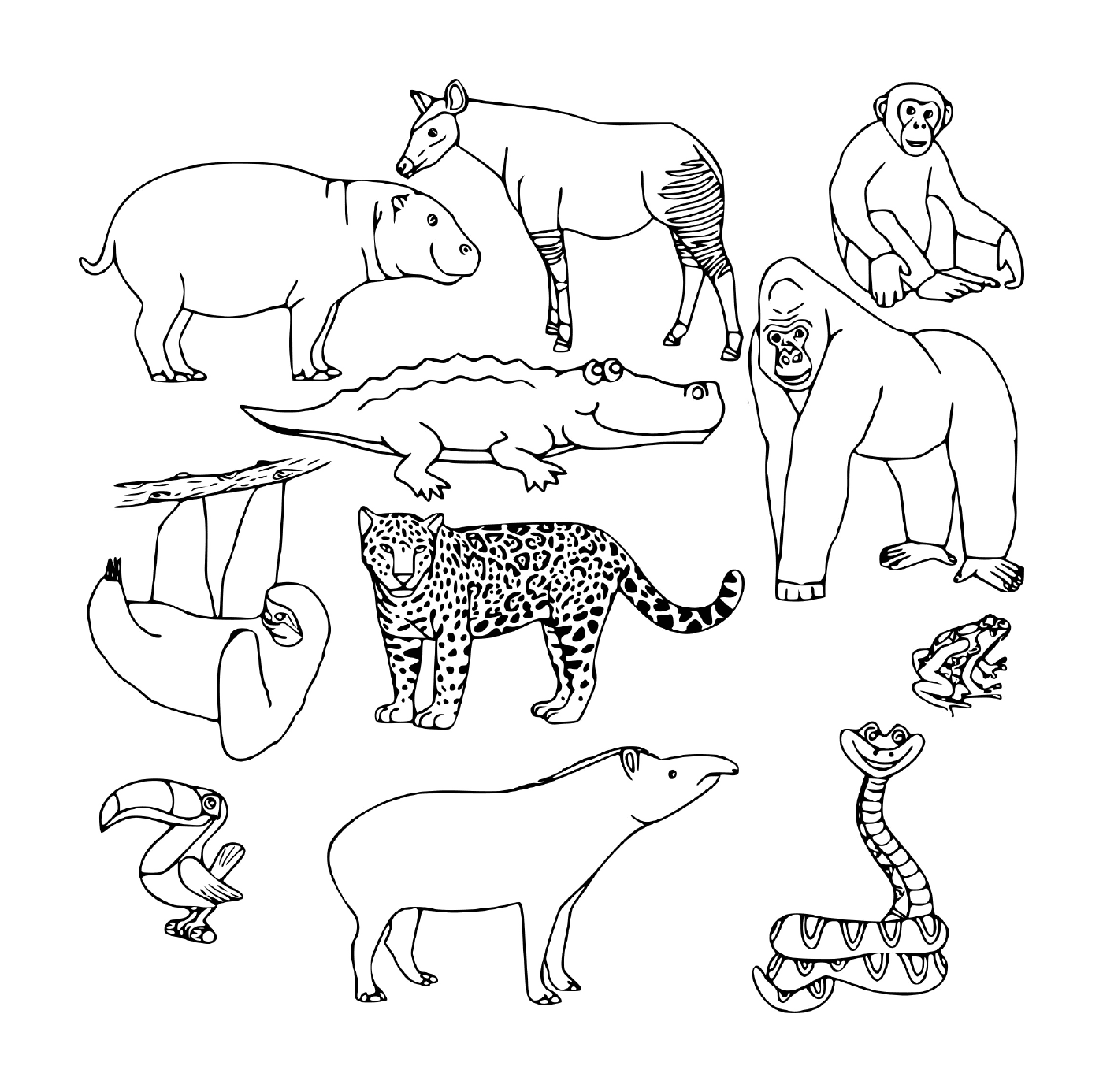  Un gruppo di animali selvatici 