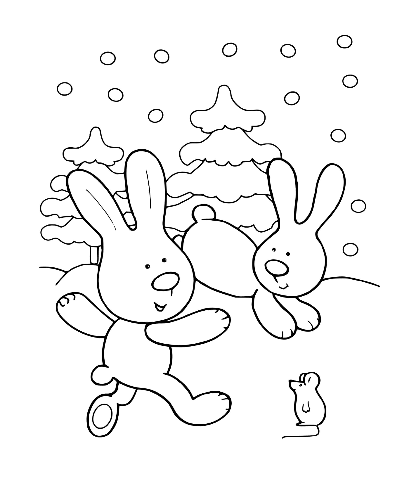  Hares freuen sich im Winter 