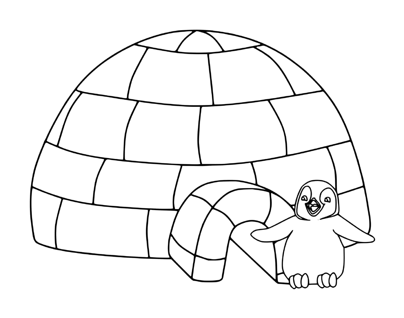  Igloo with curious penguin 
