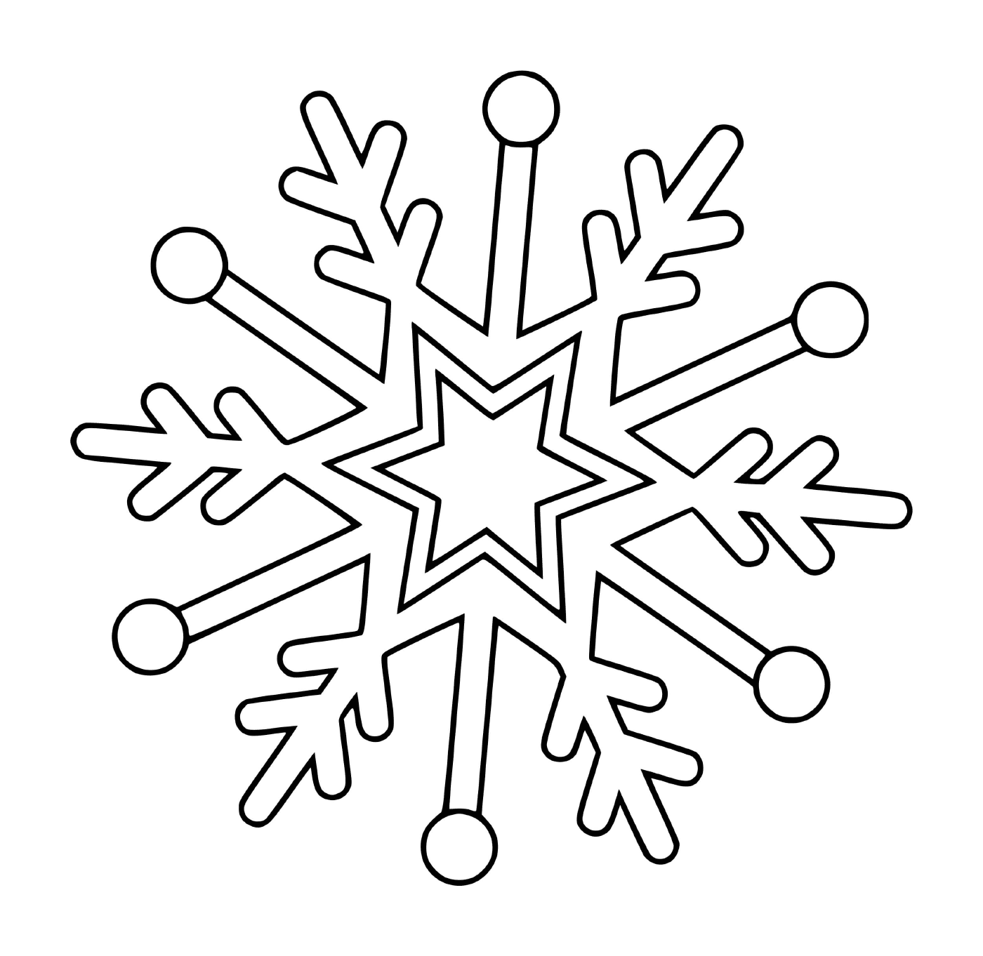  Snowflake delicacy 