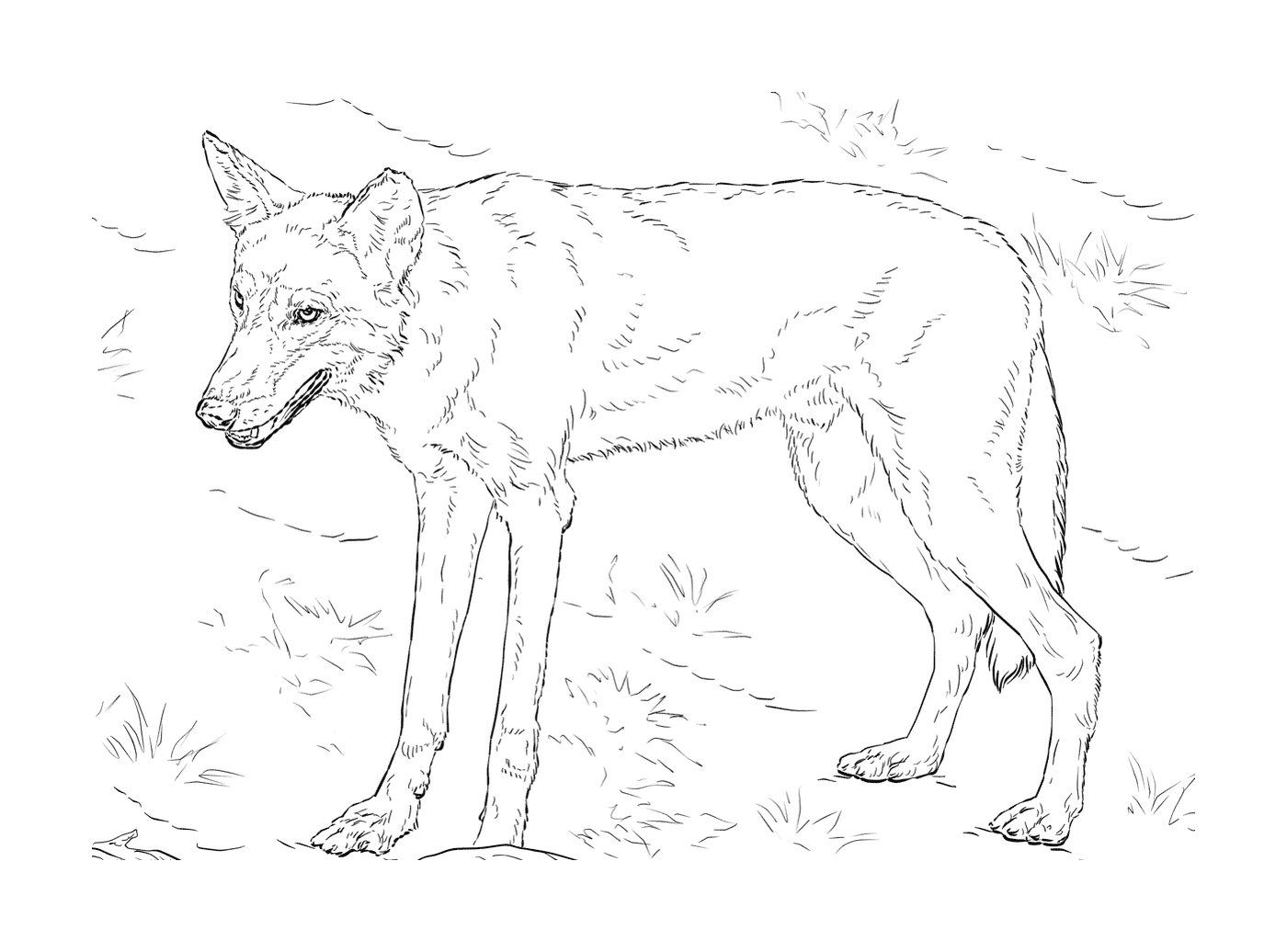  Realistischer Wolf im Wald 