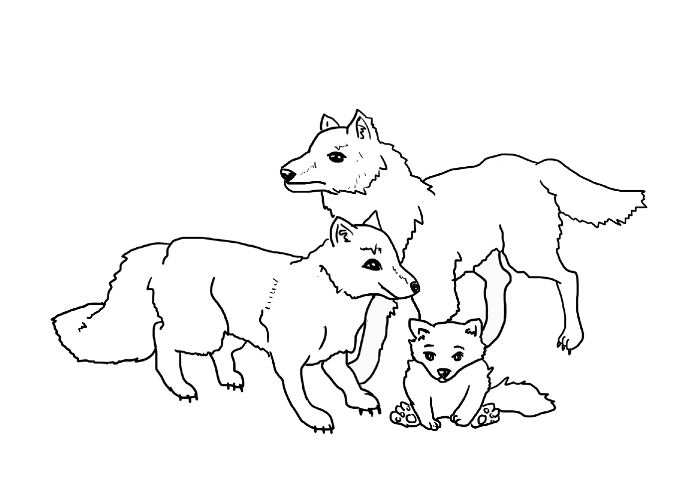  Three dogs 