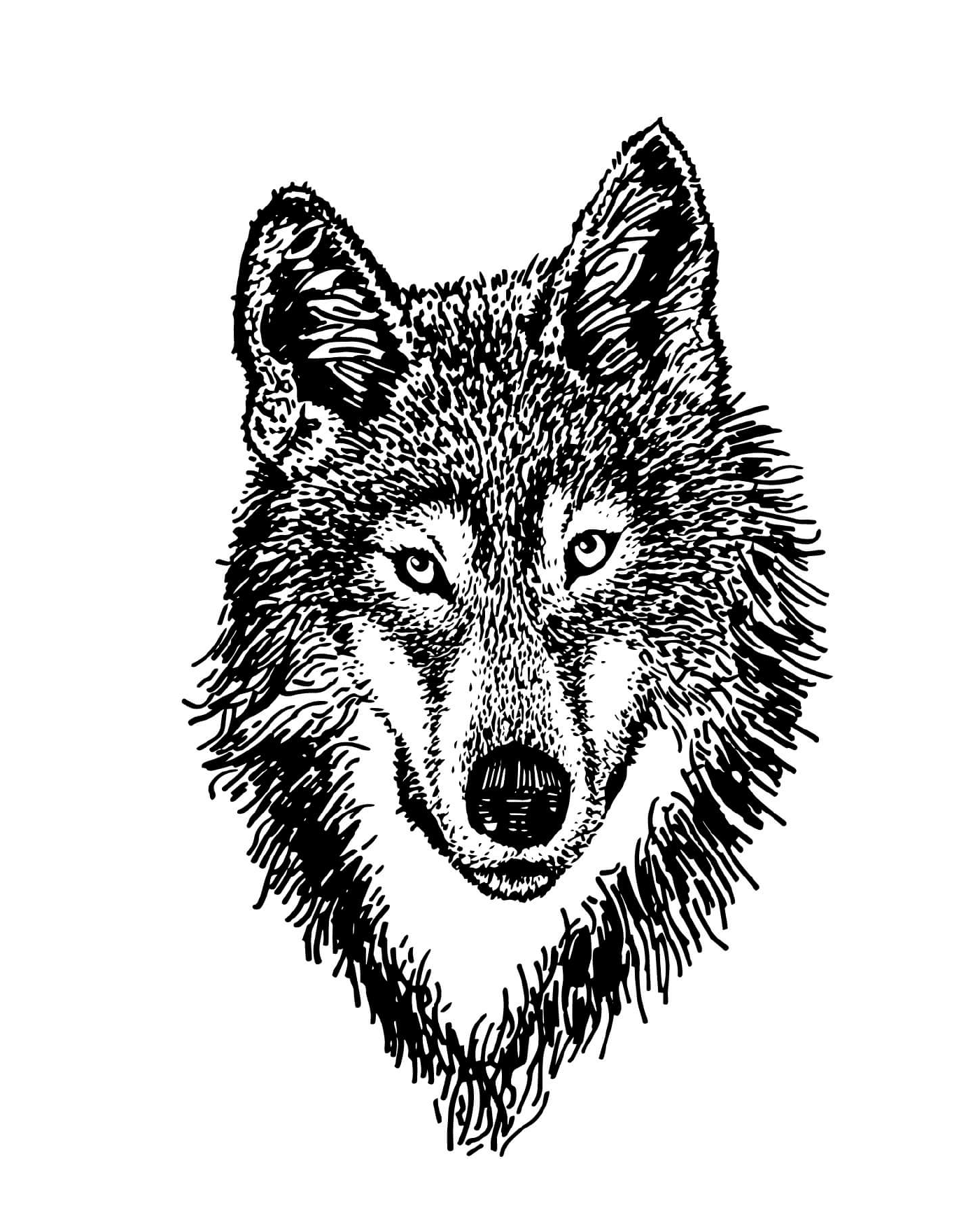  Realistischer Wolf im Wald 