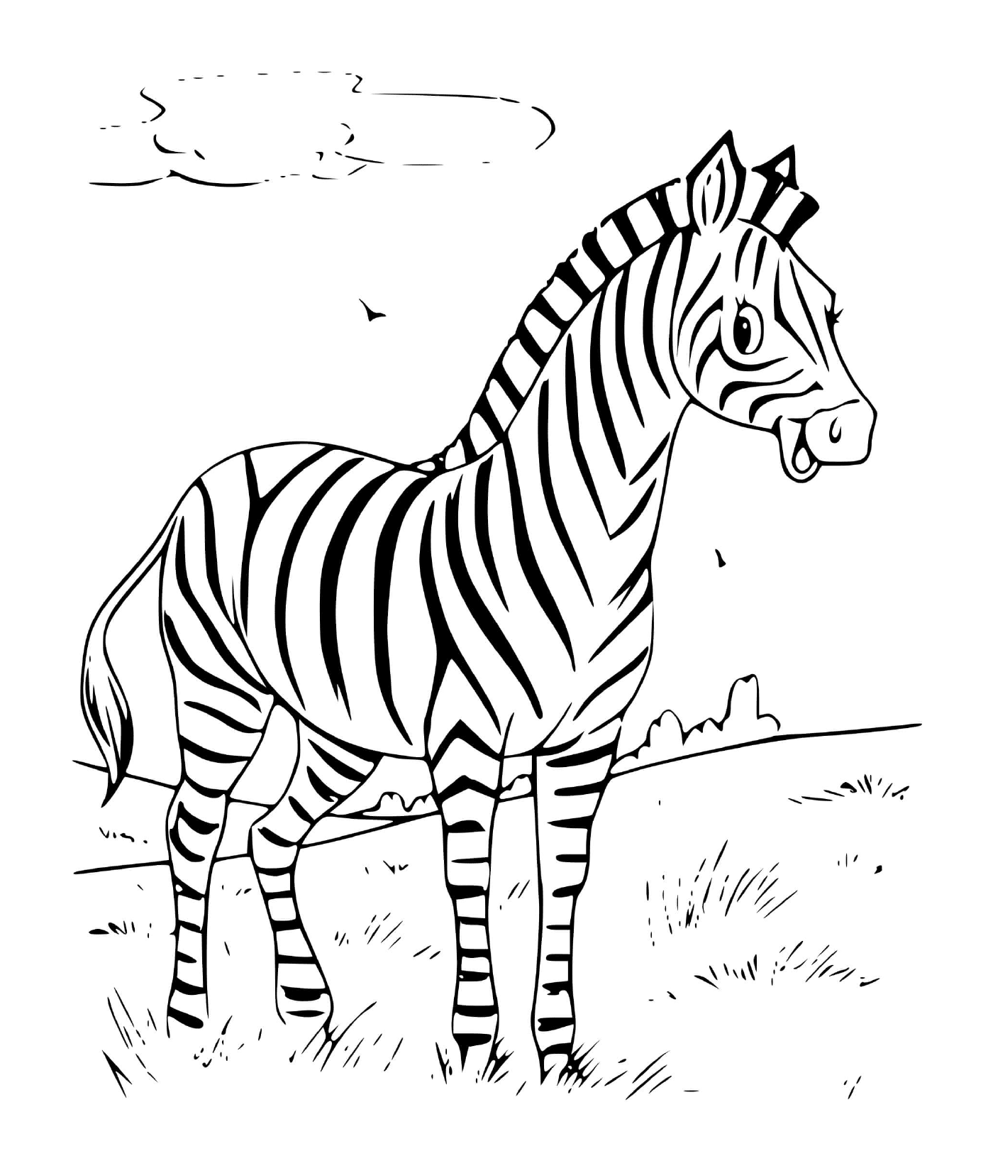  Zebra lächelnd schwarze Streifen 