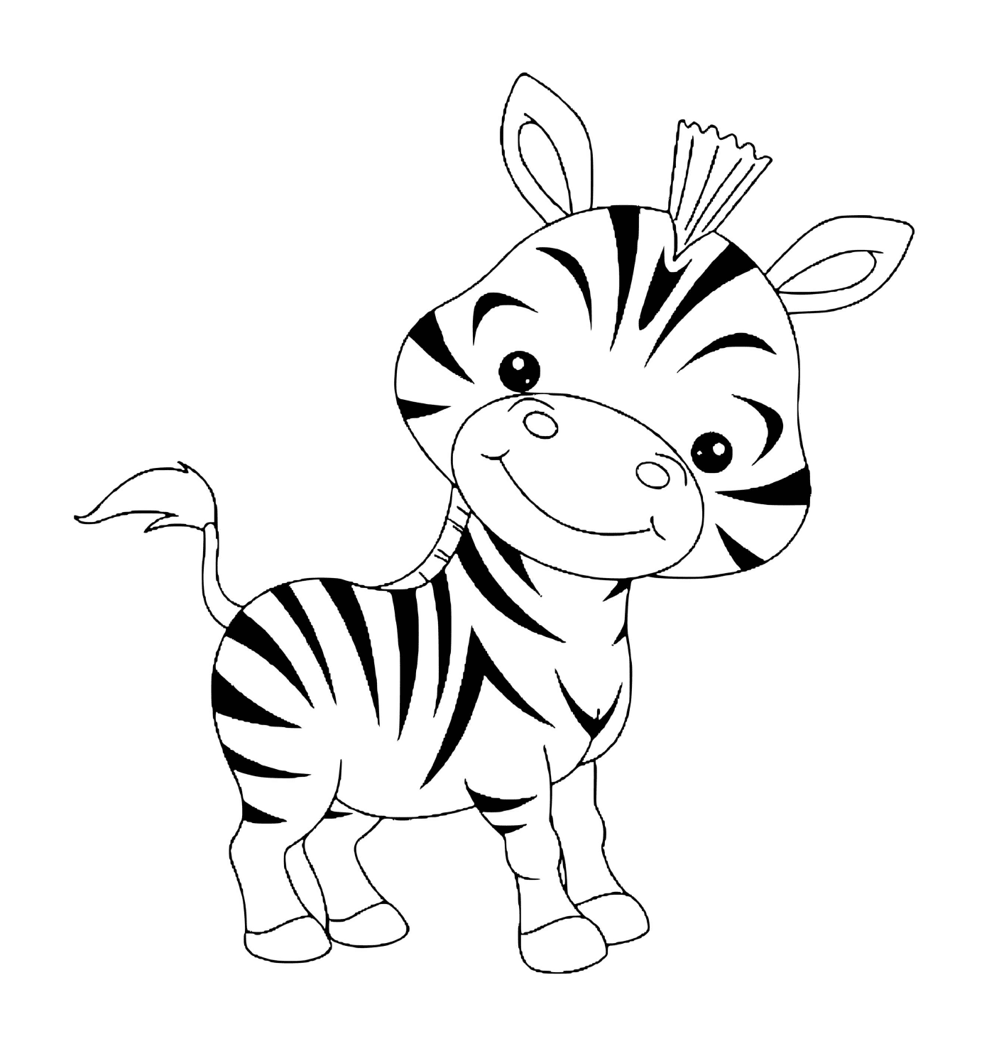  bebè zebra animale carino 