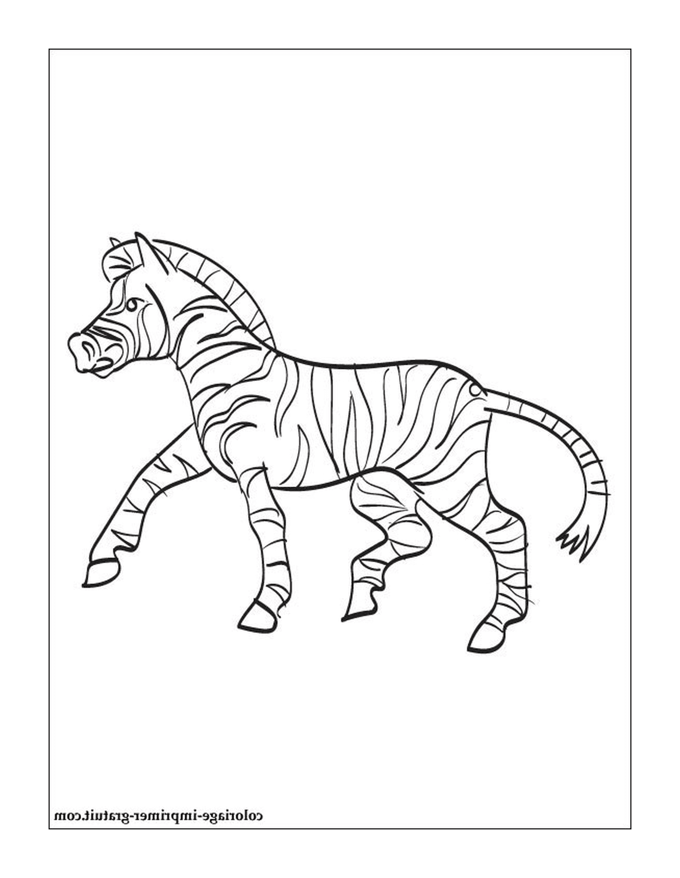  Una zebra danzante 