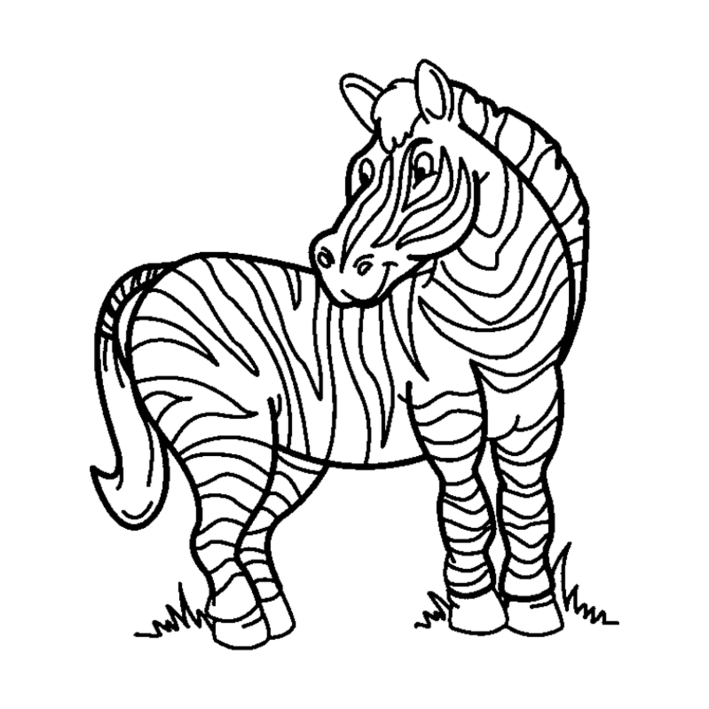  Zebra solitaria e fiera 