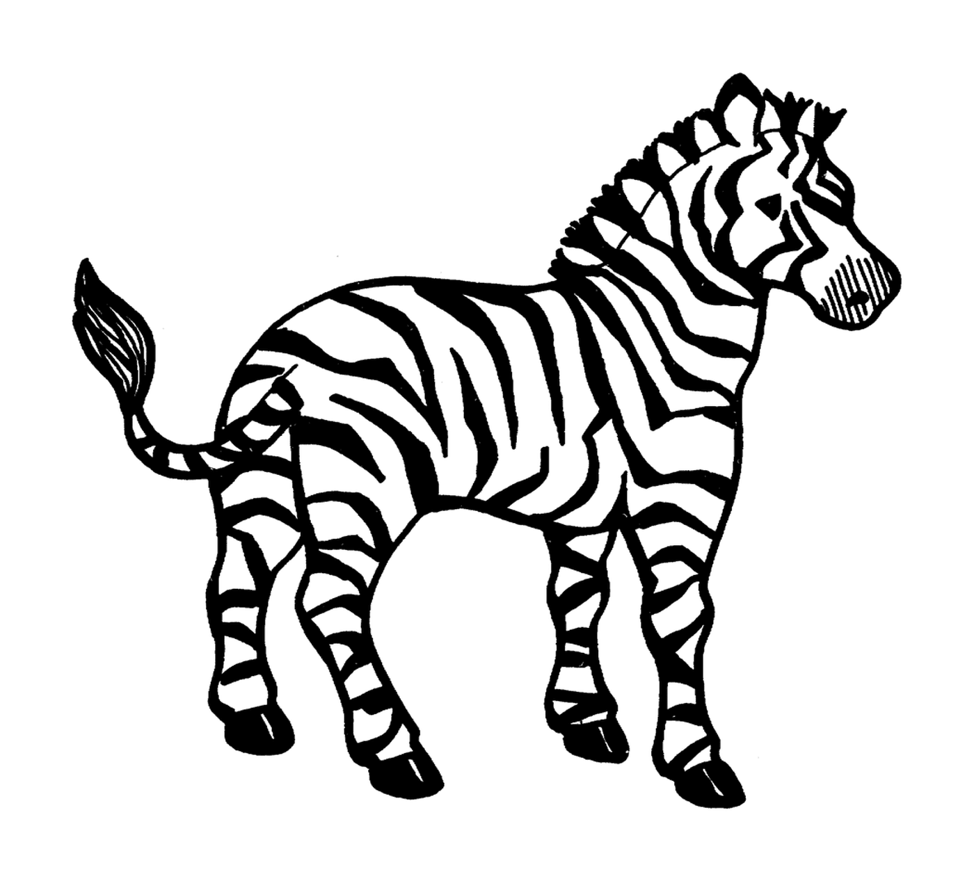  Plan 1: Zebra in Aktion 