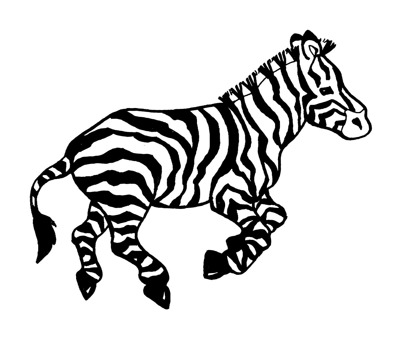  Elegantes und majestätisches Zebra 