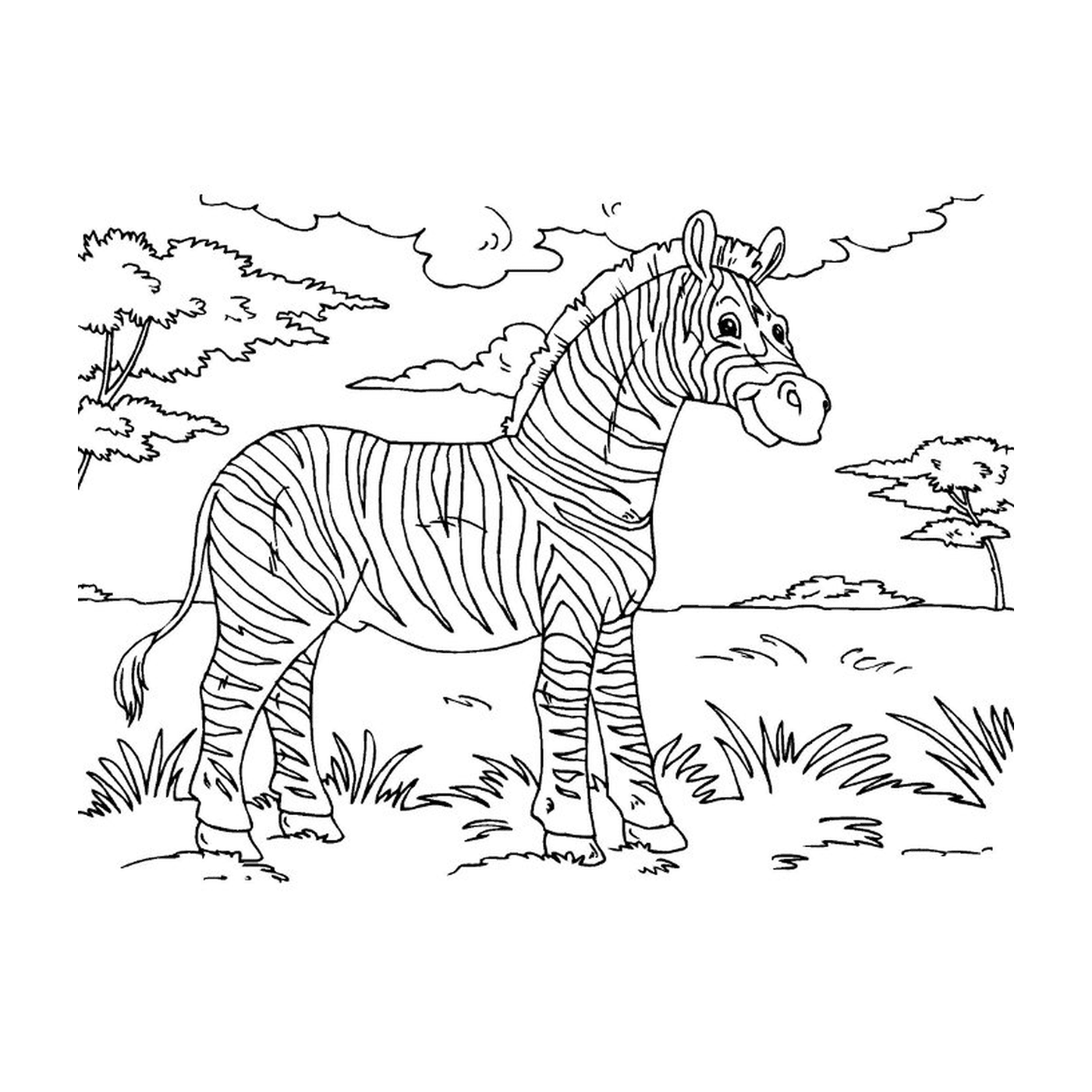  Friedliches Zebra in der Natur 