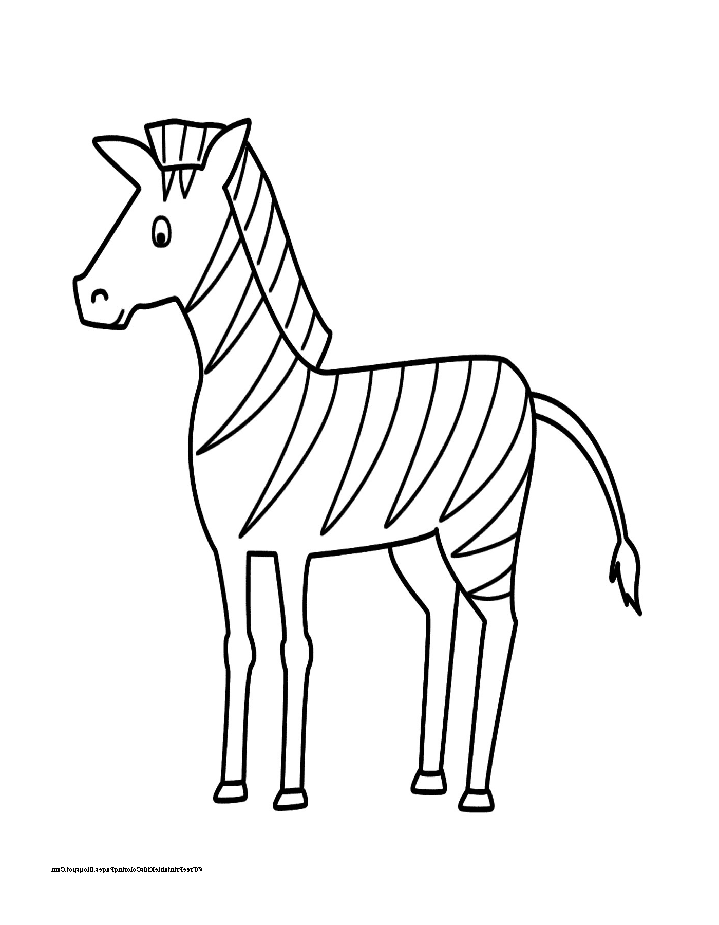  Zebra avida e tranquilla 