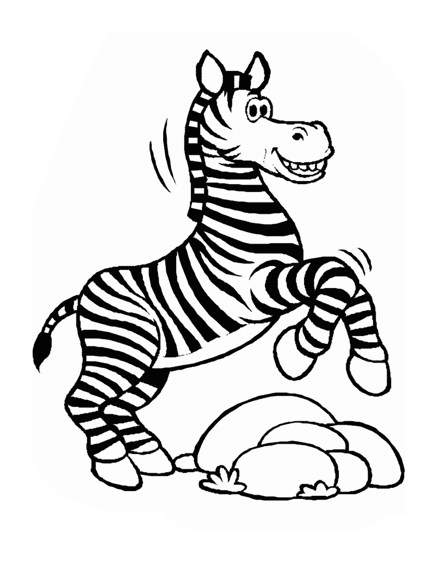 Zebra springen in die Luft 