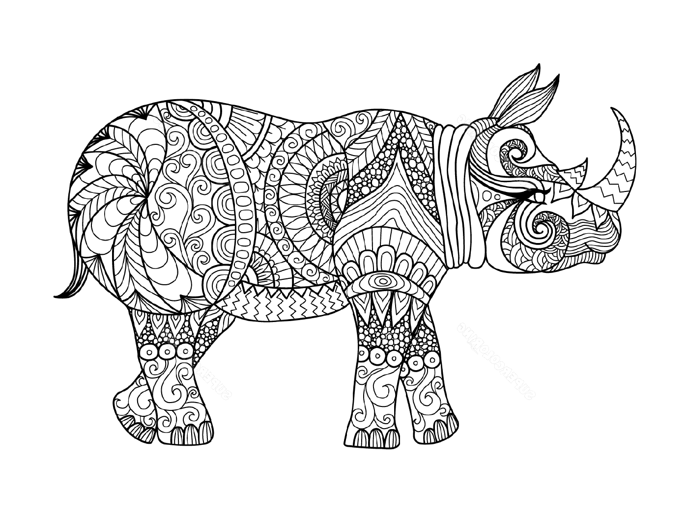 Adult hippopotamus 