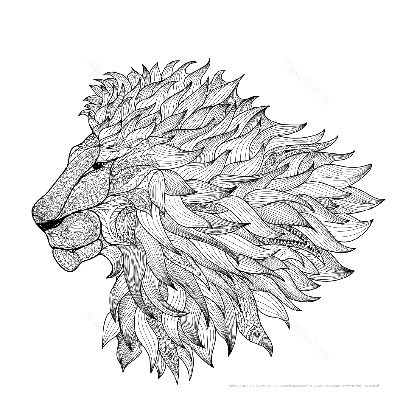  Голова большого льва 