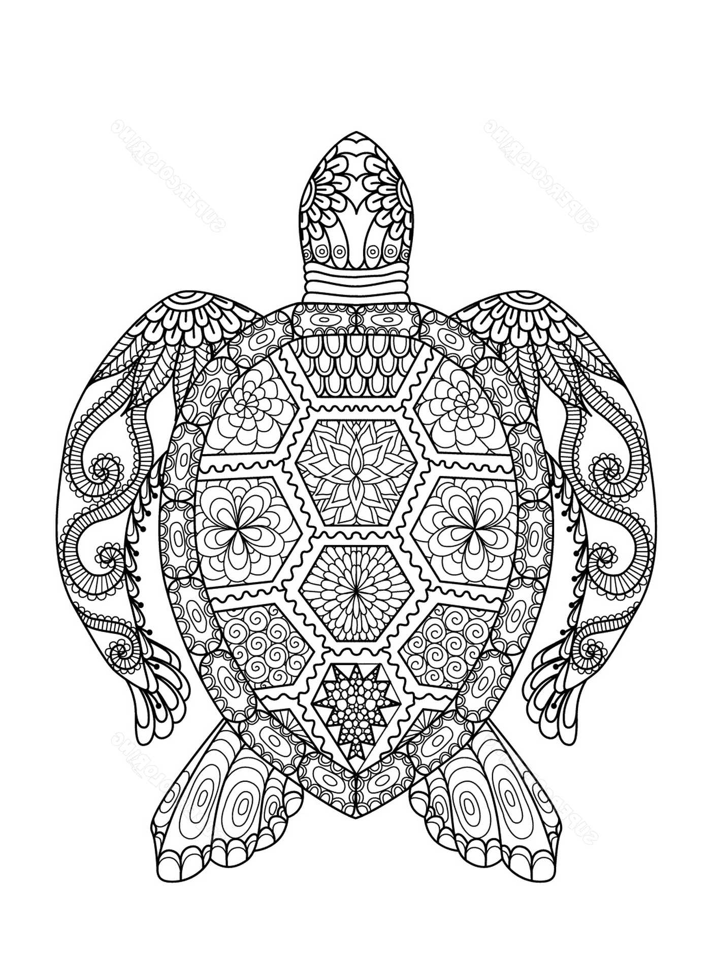  Sea turtle with elaborate patterns 