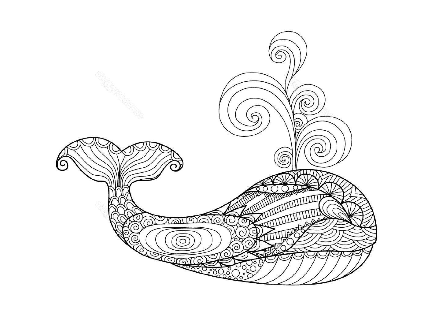  Whale with swirling patterns 