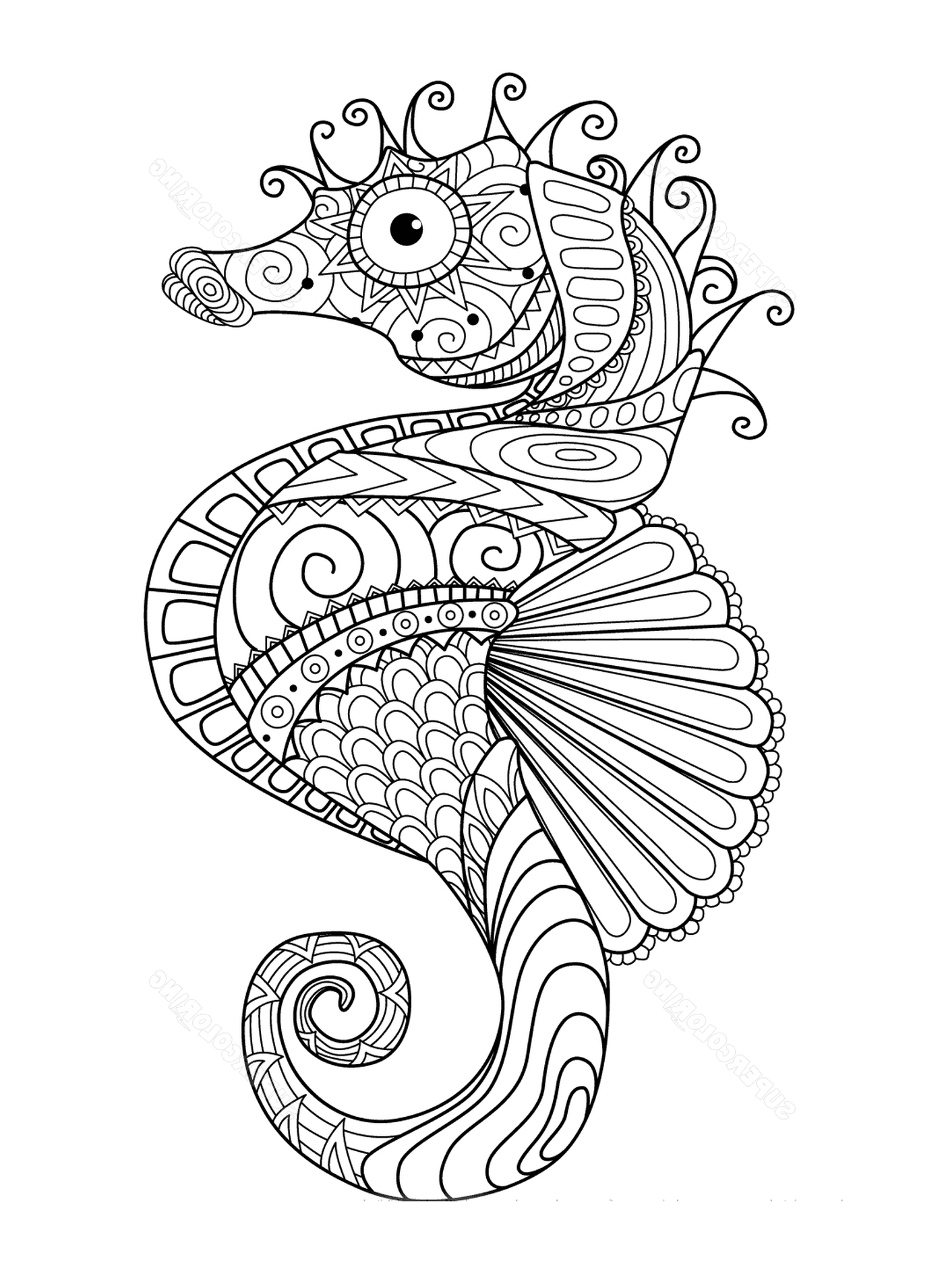  Adorned seahorse 